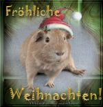 Fr&ouml;hliche Weihnach!