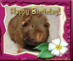 Happy Birthday!