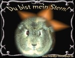 Du bist mein Stern (animiert)