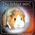 Du fehlst mir!