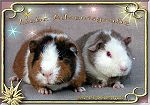 Liebe Adventsgr&uuml;&szlig;e