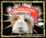 Fr&ouml;hliche Weihnach!