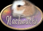 Nachwuchs