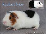 US-Teddy Kaskasi-bear
