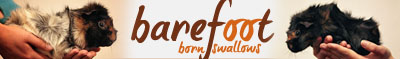 http://www.barefoot-born-swallows.de/