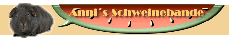 http://www.repage6.de/member/usteddys