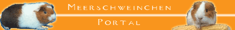 http://www.meerschweinchen-portal.de/