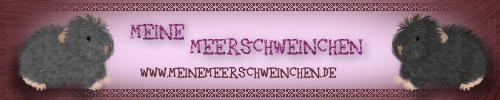 Sabines Meerigrafiken