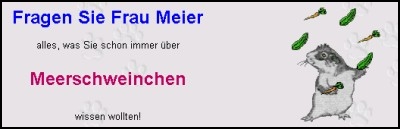 www.fraumeier.org