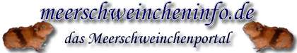 http://meerschweinchen.weblogi.de/index.htm