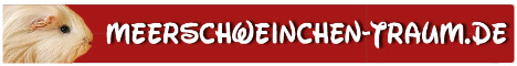 http://www.meerschweinchen-traum.de