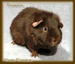 Leonie