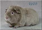 US-Teddy Kevin