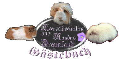 Zum Gaestebuch