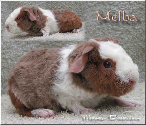 Melba
