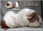 Samira