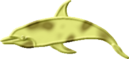golden dolphin