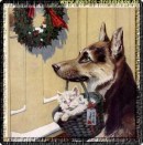 Tierweihnacht