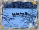 Haflinger im Schnee