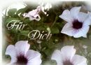 F&uuml;r Dich