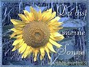 Du bist meine Sonne