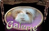 Galerie