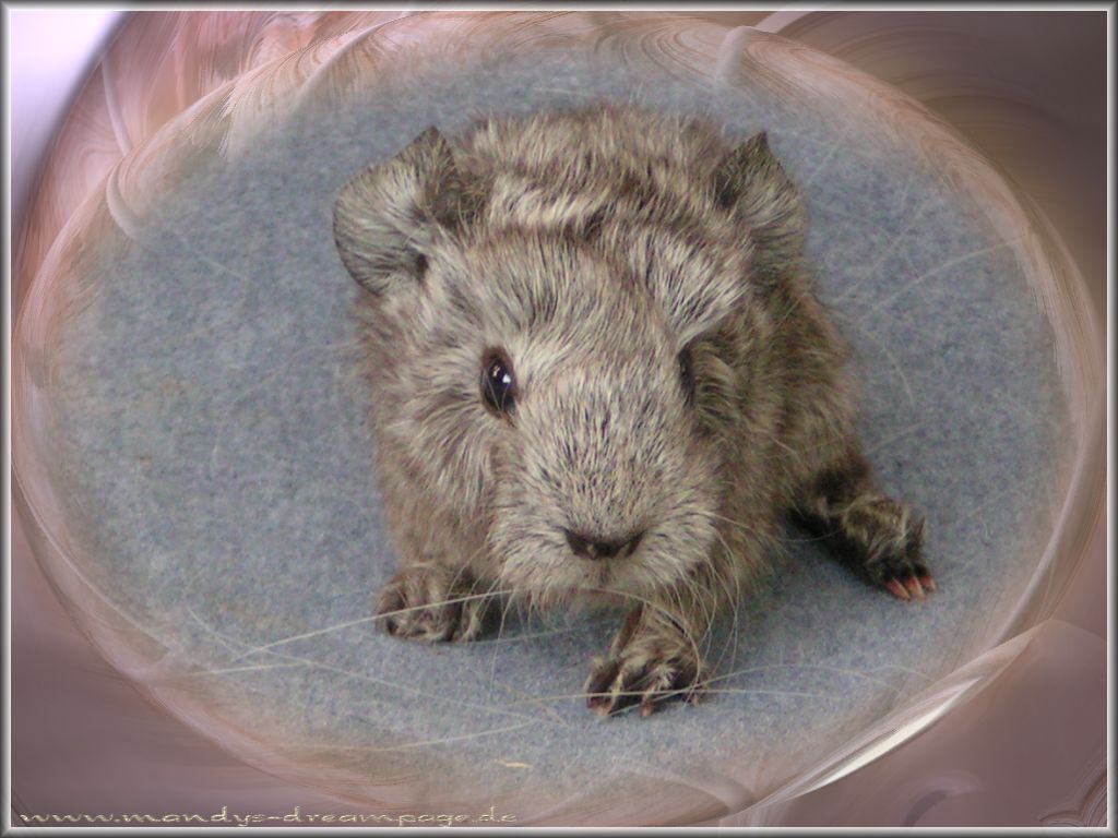 Bild7