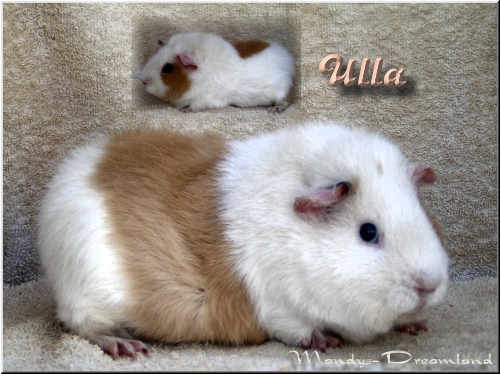 Ulla