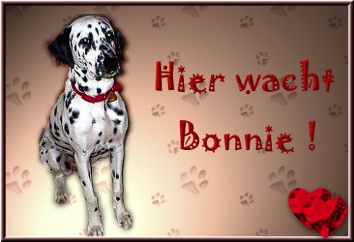 Bonnie