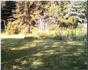 unser Garten