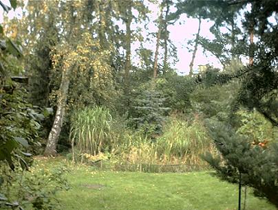 Blick auf den Teich