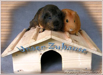 Unser Zuhause