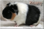 Beany