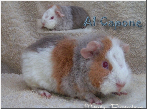 Al Capone