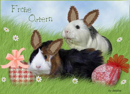 Frohe Ostern