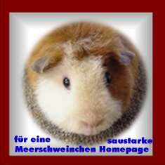 Fuzzy Award sigi&acute;s Sauhaufen