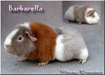 Barbarella