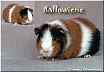 Hallowiene