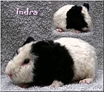 Indra