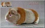 US-Teddy Jette