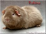 Rubina