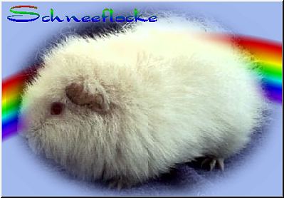Schneeflocke