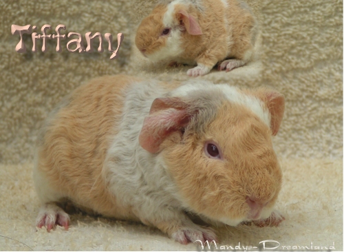 Tiffany