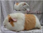 Bl&uuml;mchen