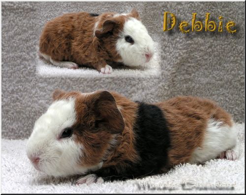 Debbie