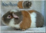 Karlson
