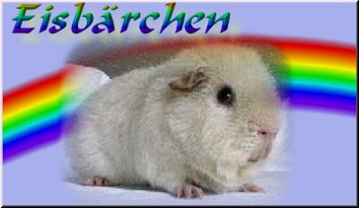 Eisb&auml;r
