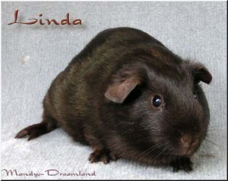 Linda
