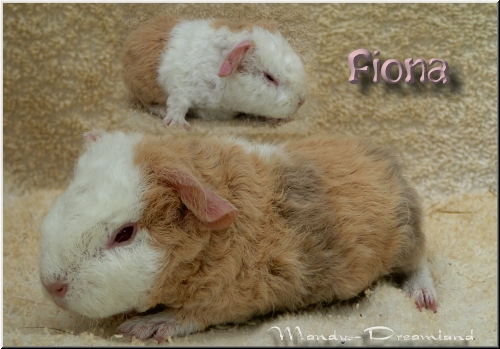 Fiona