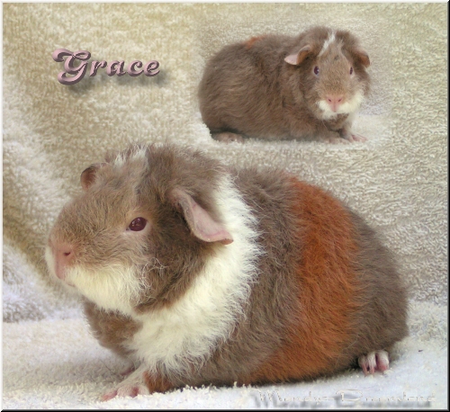 Grace